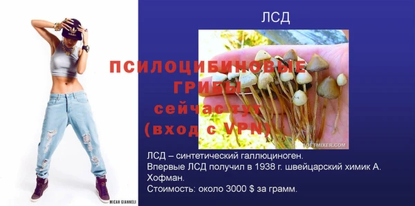 герыч Гусь-Хрустальный