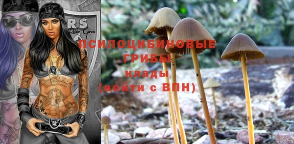 гашиш Гусиноозёрск