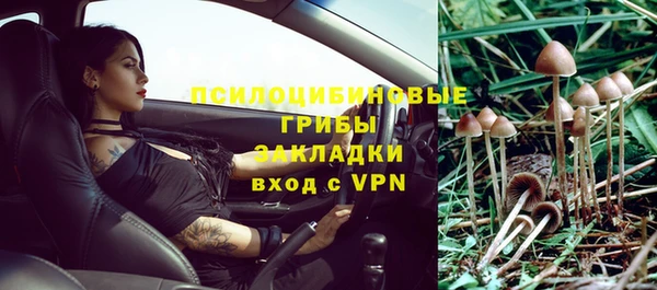 герыч Гусь-Хрустальный